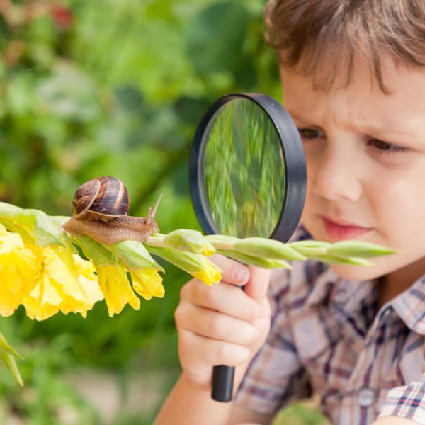 happy-little-boy-playing-in-the-park-with-snail-P35W269.jpg